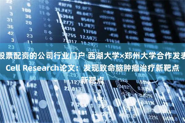 股票配资的公司行业门户 西湖大学×郑州大学合作发表Cell Research论文：发现致命脑肿瘤治疗新靶点