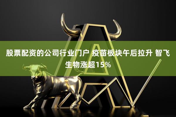 股票配资的公司行业门户 疫苗板块午后拉升 智飞生物涨超15%