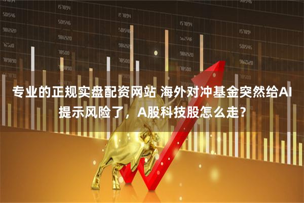 专业的正规实盘配资网站 海外对冲基金突然给AI提示风险了，A股科技股怎么走？
