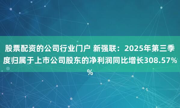 股票配资的公司行业门户 新强联：2025年第三季度归属于上市公司股东的净利润同比增长308.57%