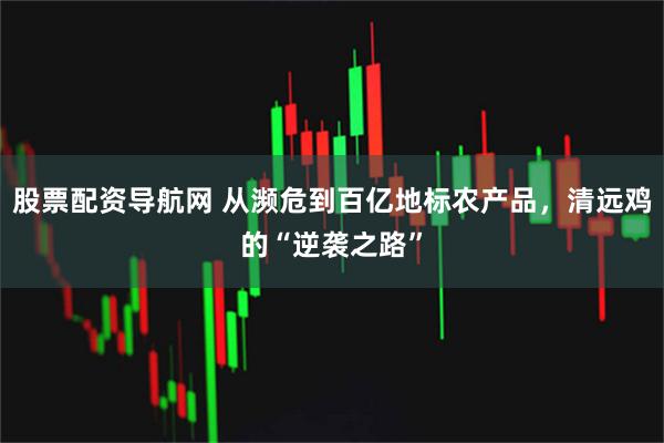股票配资导航网 从濒危到百亿地标农产品，清远鸡的“逆袭之路”